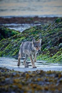 39ddb65fedc51f7fad21b0177befc511