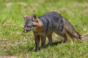 C10c62342483eef28d13c3d18858a830