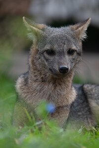 52835987191 77b77a4186 b