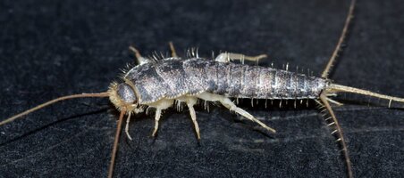 AdobeStock 280272553 1024x454