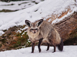 Tumblr 9812d63349b68f527ddfe00d486bb8bd b98b1970 1280