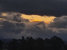 IMG 20251026 WA00021