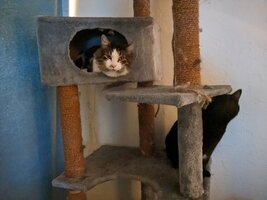 PXL 20231207 055725588MP