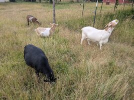 PXL 20250704 024155922