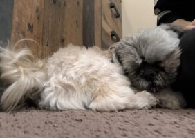 Screenshot 2025 12 29 16 20 09 668 commiuigallery edit