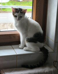 Screenshot 2025 12 29 16 21 37 479 commiuigallery edit