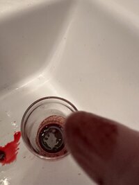 A1710050 8462 4393 94F5 EB523313D0C4