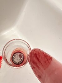 6CC92D9D 169B 4FCE 8B07 5125A7C81961