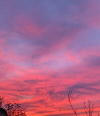 PXL 20260104 150149013MP2