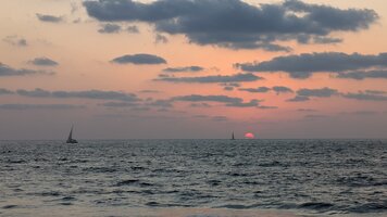 PXL 20250926 153029052