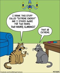 474696659 1156519659164788 2612078295277688739 n