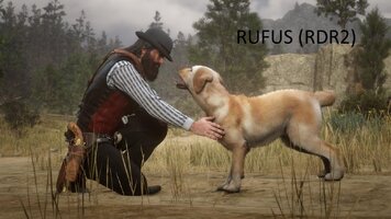 Rufus 2 2