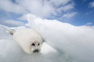 Tumblr b258759e874837763f7fe1ce4b6697cd 09e19ae9 1280