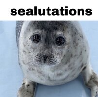 E57b838d3ff66b59e48d2b181e28ae5b