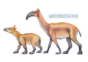 Istockphoto 1362020312 612x612