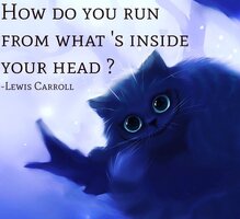 B8092fc1374b61832f5c7228c4fbe5ab