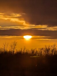 PXL 20260118 214711995