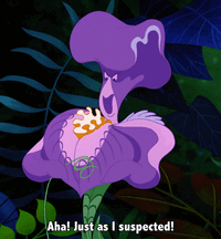 7550211121cee819ba9454400db16e96