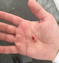 80d52ae1 be1b 4f44 a741 3cf996424445