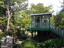 Paradise Garden scaled