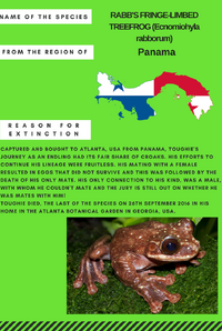 1715894513757034258150188826825017443947882o1525863069