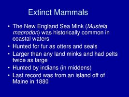 Extinct mammals l