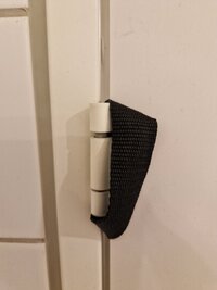 256136 20260209 231537