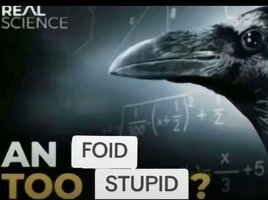 Ca0cd751f4d54fc6ac9d8e65695d8152tplv jj85edgx6n image origin