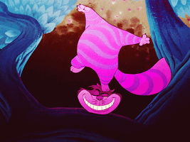 Tumblr mfwhpfeDls1s1oh4ko1 500