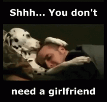 Shhh you don t need a girlfriend dog rubbing head 2g78b04ai4j0wq6n