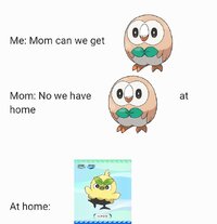 A little browt meme v0 dudnj7n3rlmg1