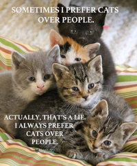 Screenshot 2026 03 05 at 19 38 35 Instagram