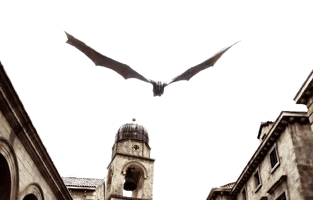 E7e06cf075d596c88b876cd0ff06be75