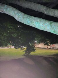 IMG 20260313 212402225 AE