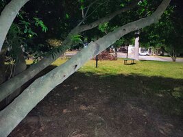 IMG 20260313 213101545 AE