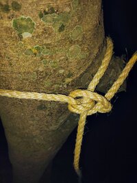 IMG 20260313 223953398 AE