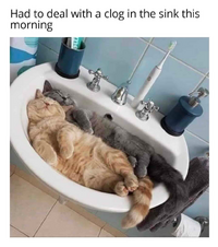 Screenshot 2026 03 14 at 17 53 28 Instagram