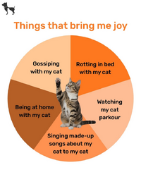 Screenshot 2026 03 15 at 16 28 12 Instagram