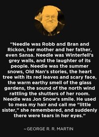 George r r martin 452571