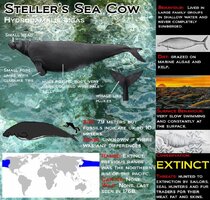 Afe267ce0349048f8675b3cbfa7ee02e