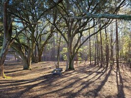 Imageedit 7 7397530965