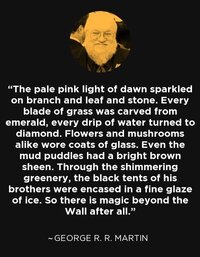 George r r martin 497007