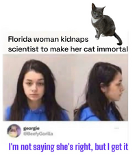 Screenshot 2026 03 23 at 22 36 16 Instagram