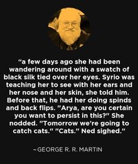 George r r martin 458328