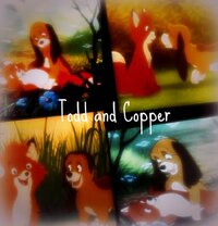 Todd and copper collage by cynderthedarkdragon d33vsoi pre