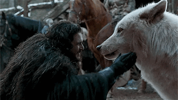 0368408b075f274b283c121e36dcc701