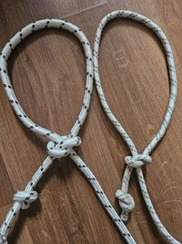 Photo 2026 04 01 17 59 37