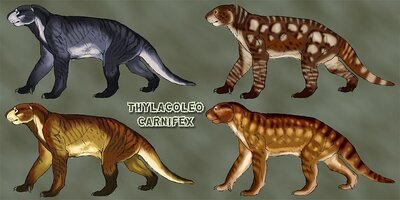 7306643217a3e71dcf8feb7717b71338