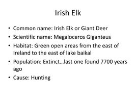 Irish elk l