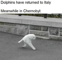 The cat do be walkin tho v0 ileybdmt40r41